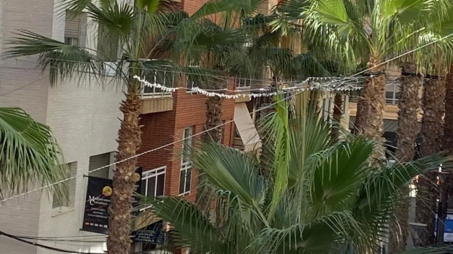 Apartamento de 4 dormitorios en Torrevieja, España No. 156 № 12