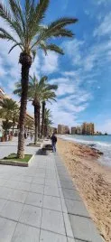 Apartamento de 1 dormitorio en Torrevieja, Spain No. 211