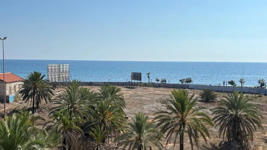 Apartamento de 1 dormitorio en Torrevieja, Spain No. 106 № 8