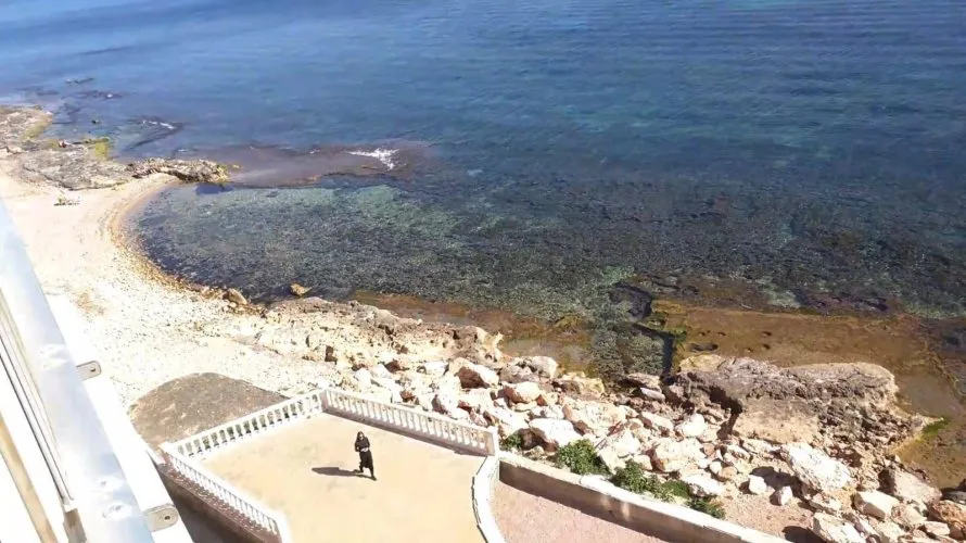 Apartamento de 4 dormitorios en Torrevieja, España No. 61 № 6