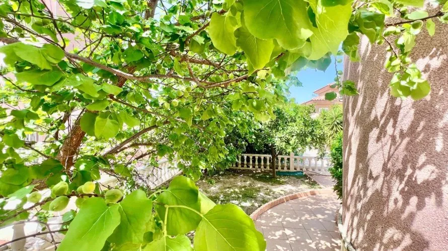 Villa de 3 dormitorios en Torrevieja, Spain No. 64 № 18