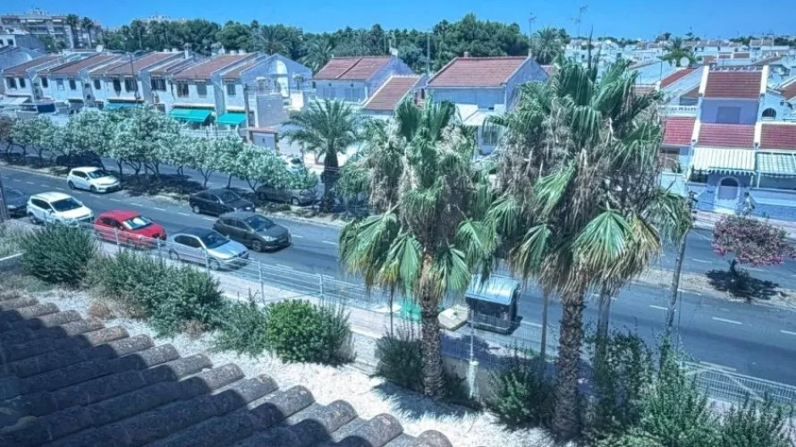 Apartamento de 1 dormitorio en Torrevieja, España No. 516