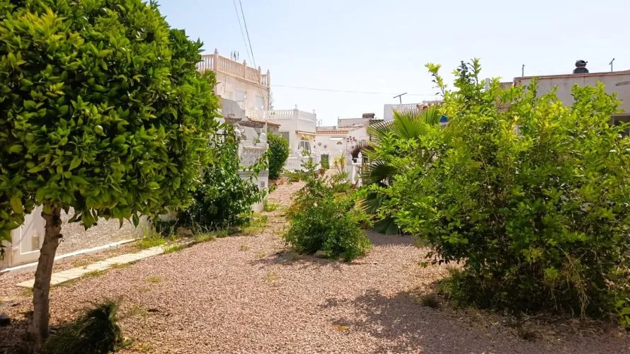 Bungalow de 1 dormitorio en Torrevieja, España No. 513 № 1