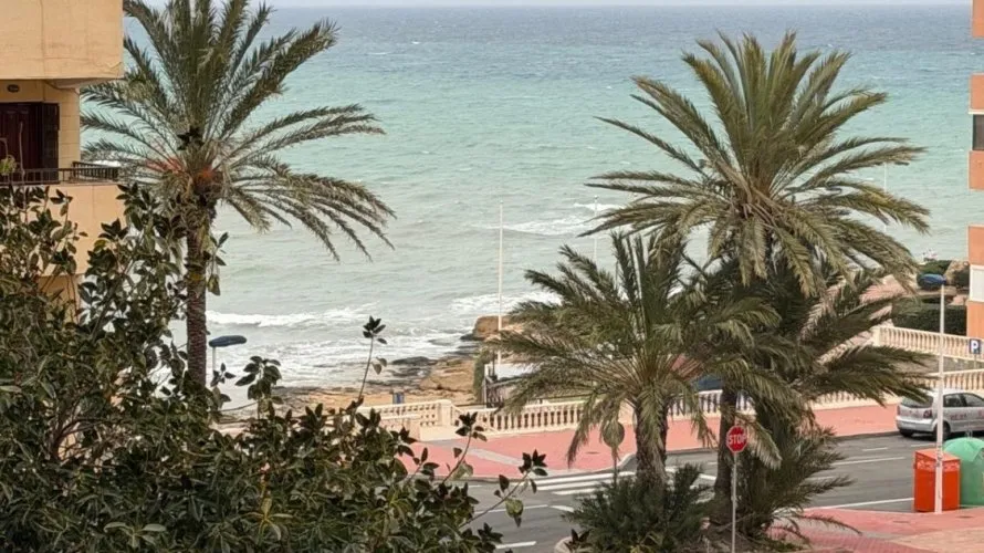 Apartamento de 1 dormitorio en Torrevieja, España No. 451 № 7