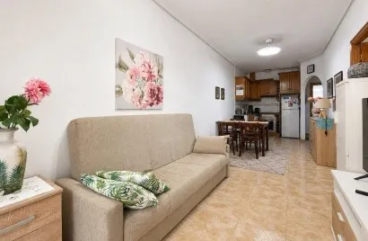 Apartamento de 1 dormitorio en Torrevieja, España No. 523