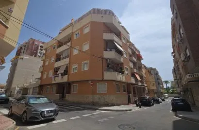 Apartamento de 1 dormitorio en Torrevieja, España No. 572