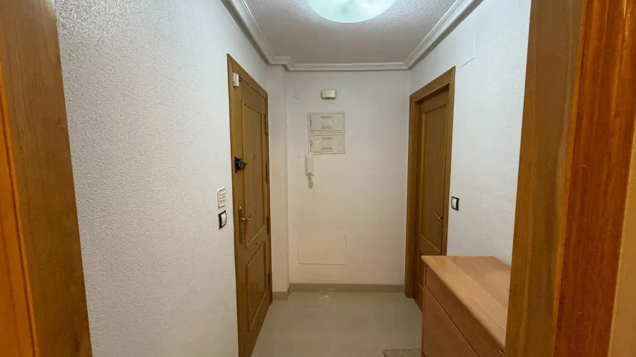 Apartment de 1 chambre à Torrevieja, Espagne No. 237 № 5