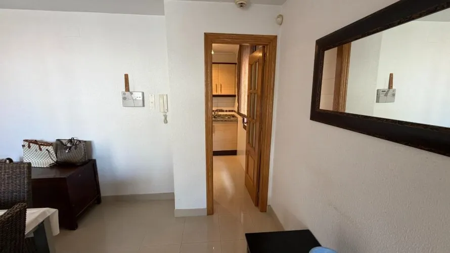 Apartment de 1 chambre à Torrevieja, Espagne No. 237 № 24