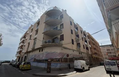 Apartment de 1 chambre à Torrevieja, Spain No. 237