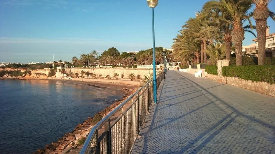Villa de 4 chambres à Torrevieja, Espagne No. 123 № 11