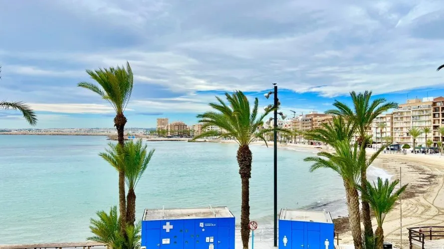Apartment de 3 chambres à Torrevieja, Spain No. 185 № 15