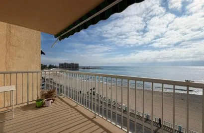 Apartment de 4 chambres à Torrevieja, Espagne No. 198