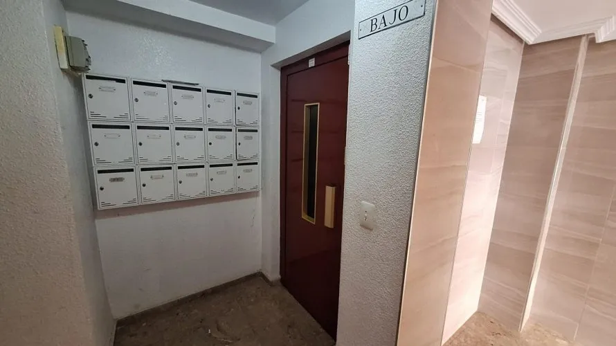 Apartment de 1 chambre à Torrevieja, Espagne No. 203 № 23