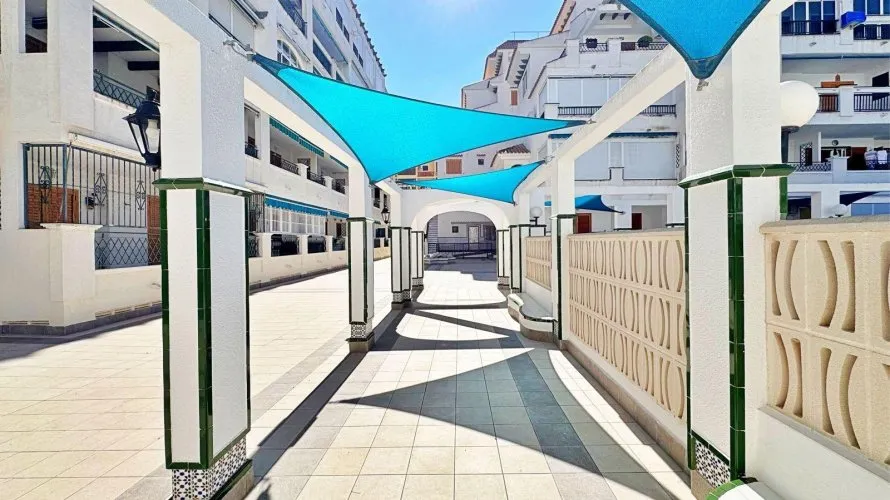 Apartment de 1 chambre à Torrevieja, Spain No. 199 № 13