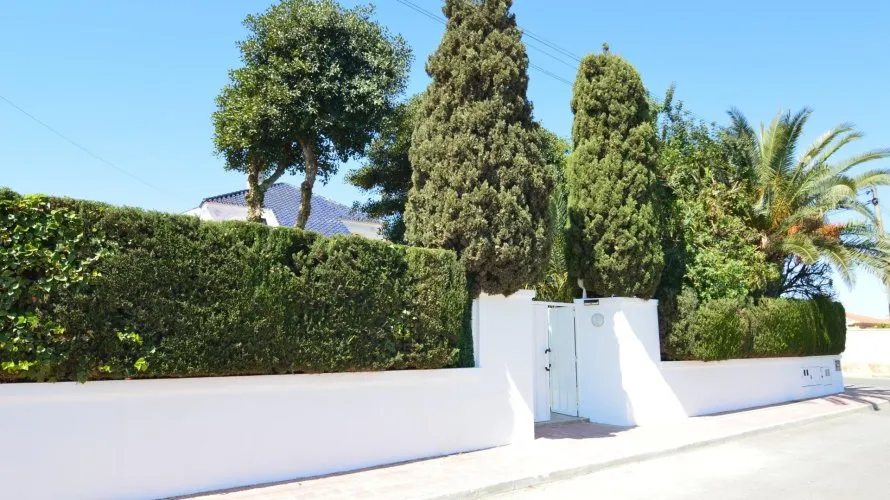 Villa de 4 chambres à Torrevieja, Spain No. 60 № 5