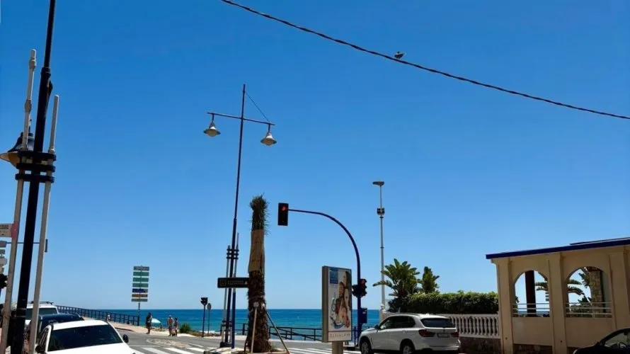 Apartment de 2 chambres à Torrevieja, Espagne No. 298 № 10