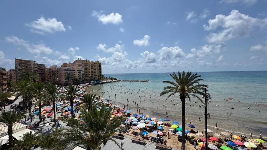Apartment de 3 chambres à Torrevieja, Espagne No. 300 № 12