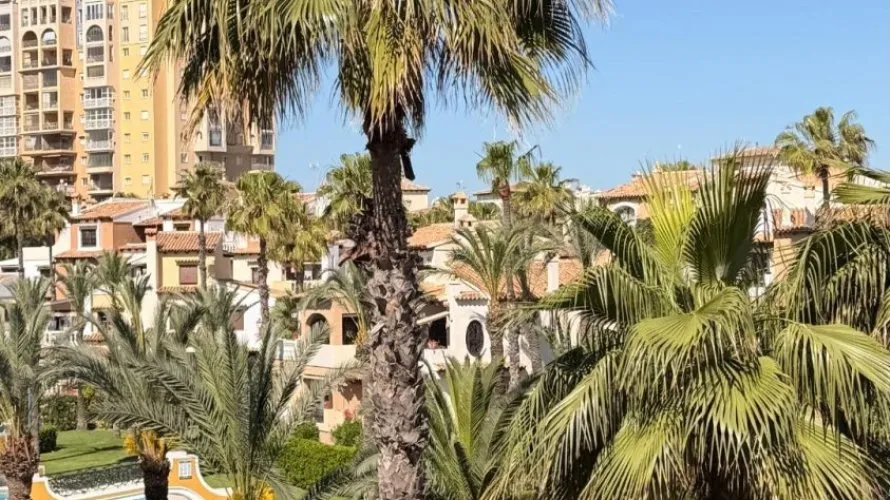 Apartment de 1 chambre à Torrevieja, Espagne No. 283 № 8