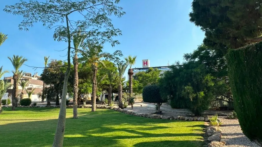 Apartment de 1 chambre à Torrevieja, Espagne No. 533