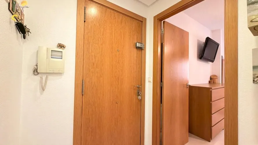 Apartment de 1 chambre à Torrevieja, Espagne No. 498 № 3