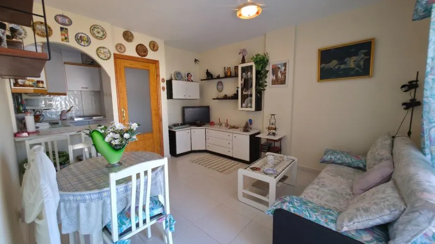 Apartment de 1 chambre à Torrevieja, Espagne No. 532 № 17