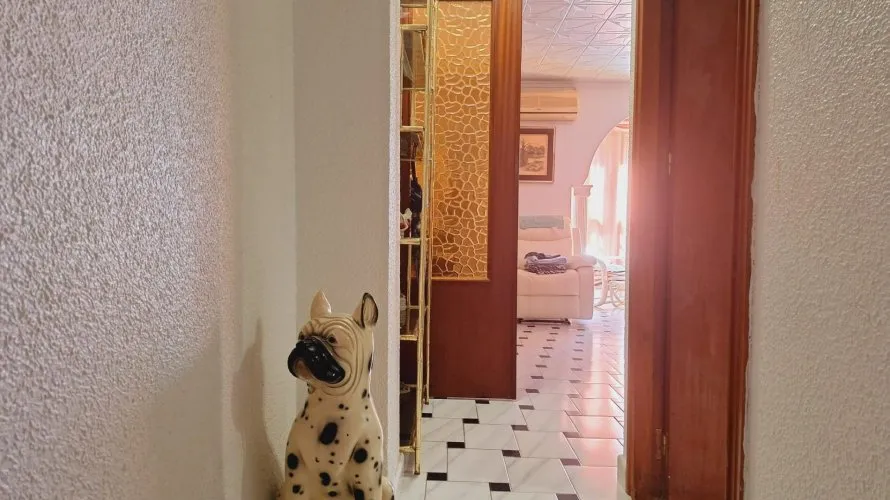 Apartment de 1 chambre à Torrevieja, Espagne No. 439 № 5