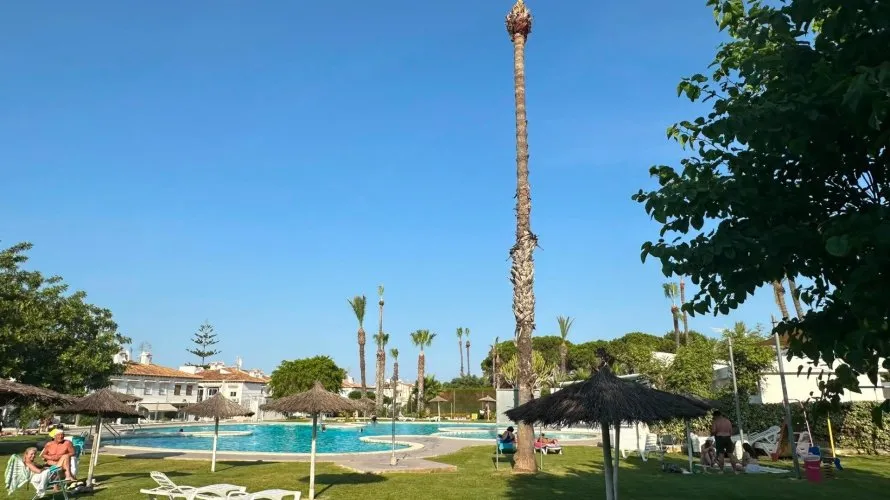 Apartment de 1 chambre à Torrevieja, Espagne No. 533 № 1