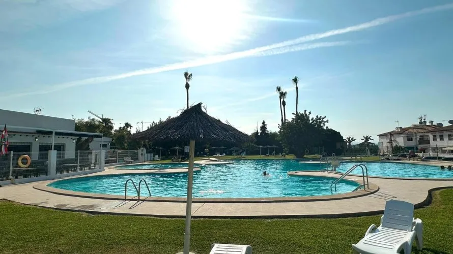 Apartment de 1 chambre à Torrevieja, Espagne No. 533 № 4
