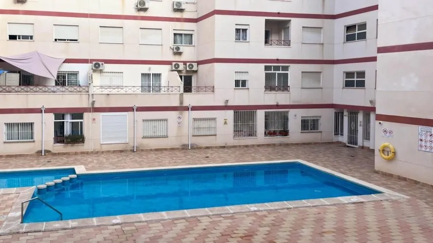 Apartment de 1 chambre à Torrevieja, Espagne No. 523 № 2