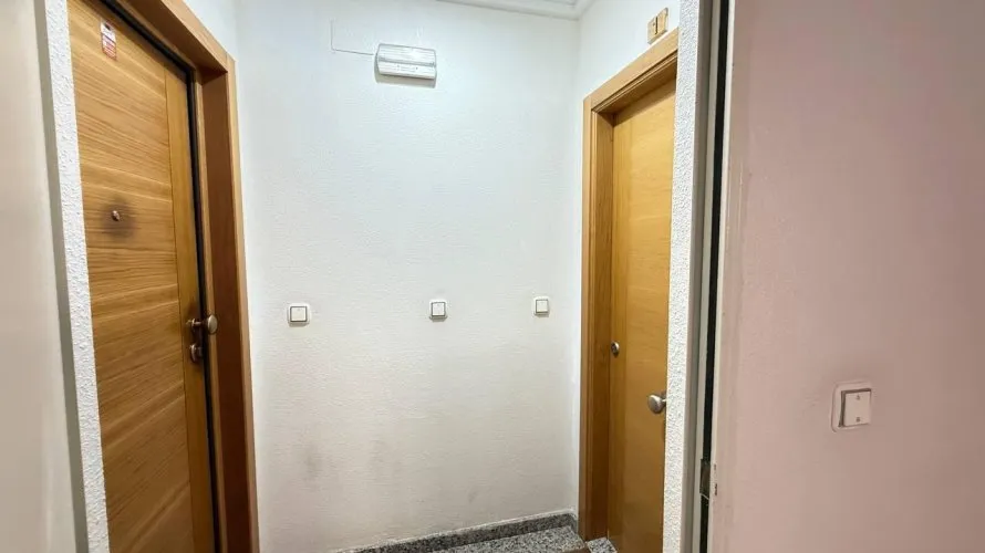 Apartment de 1 chambre à Torrevieja, Espagne No. 387 № 1