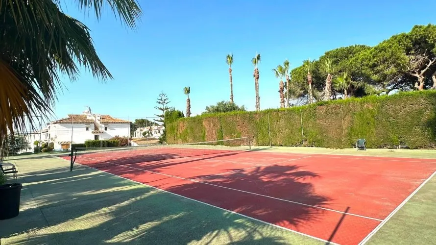 Apartment de 1 chambre à Torrevieja, Espagne No. 533 № 5