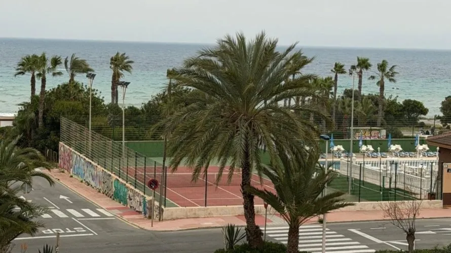 Apartment de 1 chambre à Torrevieja, Espagne No. 451 № 6