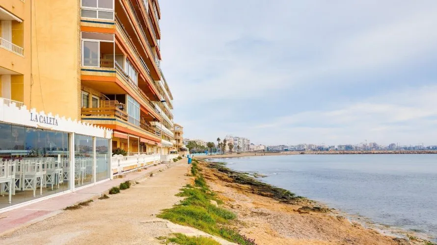 Apartment de 2 chambres à Torrevieja, Espagne No. 462 № 24