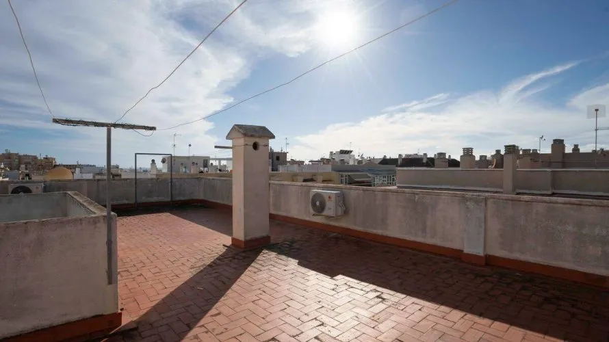 Apartment de 1 chambre à Torrevieja, Espagne No. 454 № 1