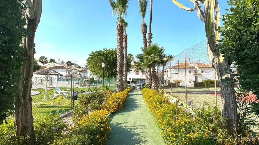 Apartment de 1 chambre à Torrevieja, Espagne No. 533 № 19