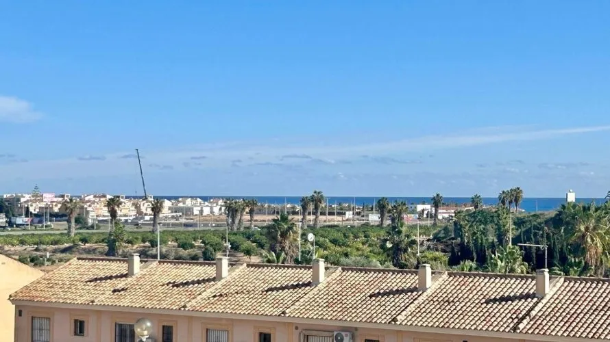 Villa de 2 chambres à Torrevieja, Espagne No. 605 № 21