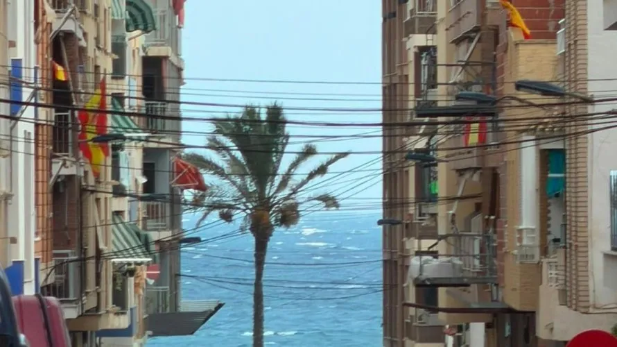 Apartment de 1 chambre à Torrevieja, Espagne No. 706 № 24
