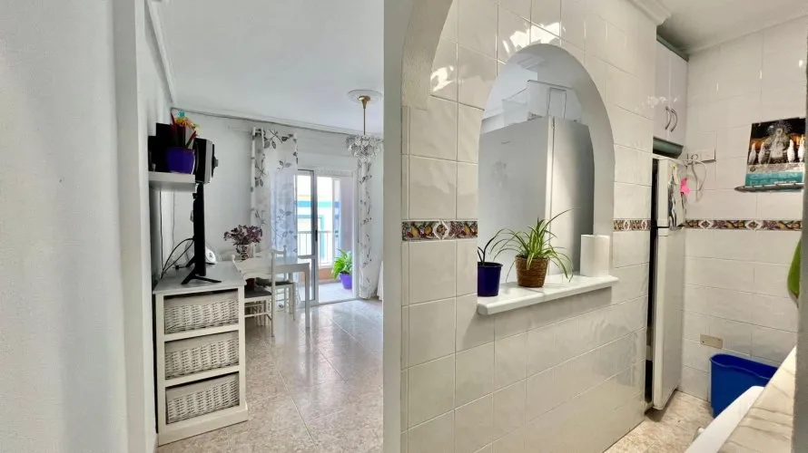 Apartment de 1 chambre à Torrevieja, Espagne No. 701 № 17
