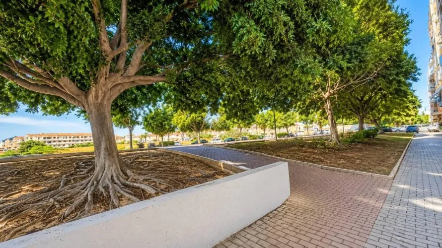 Apartment de 2 chambres à Torrevieja, Espagne No. 776