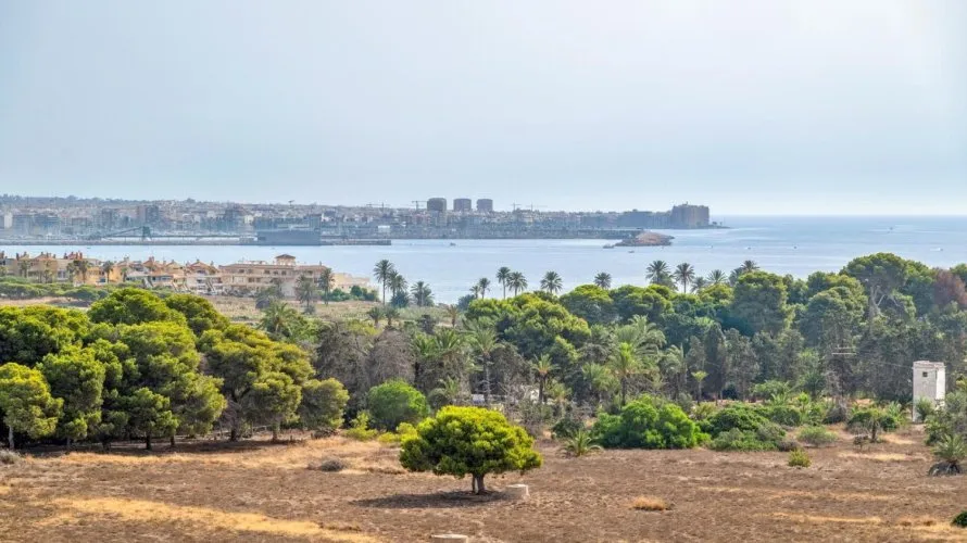 75m² penthouse for sale, Torrevieja, Spain No. 796