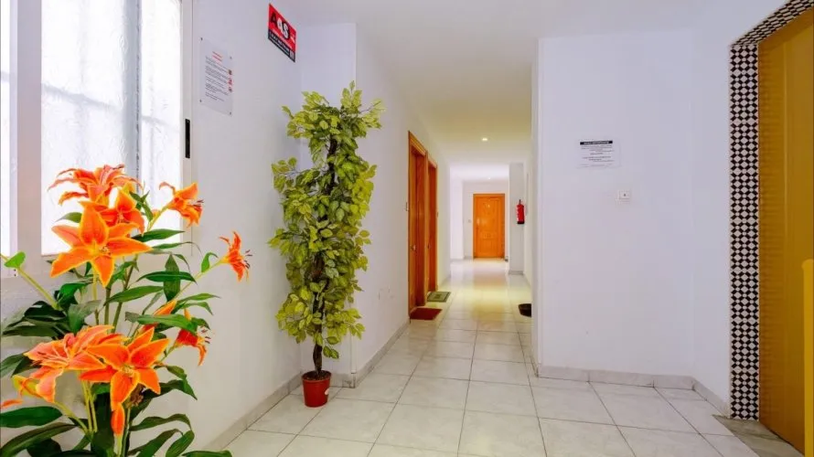 1 bedroom apartment for sale, Torrevieja, Spain No. 800