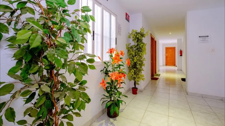 1 bedroom apartment for sale, Torrevieja, Spain No. 800 № 8